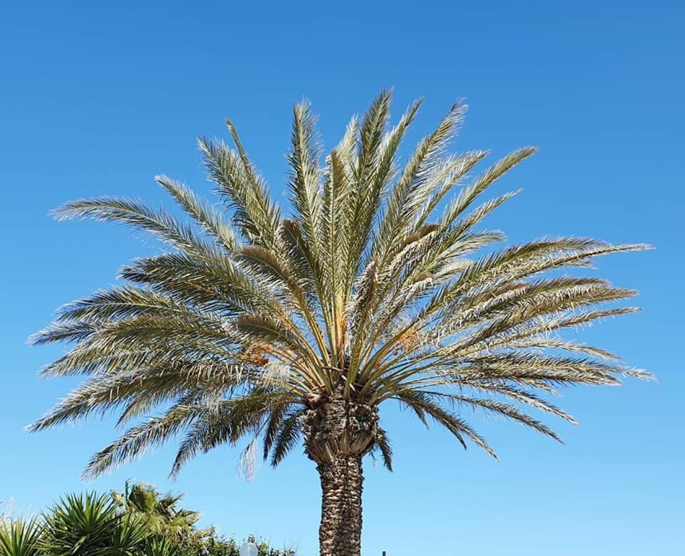 Il Canneto Di Selinunte Marinella di Selinunte Exterior foto