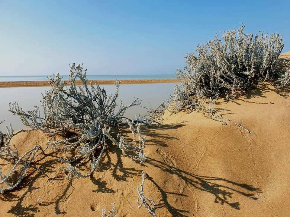 Il Canneto Di Selinunte Marinella di Selinunte Exterior foto