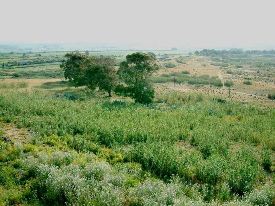 Il Canneto Di Selinunte Marinella di Selinunte Exterior foto